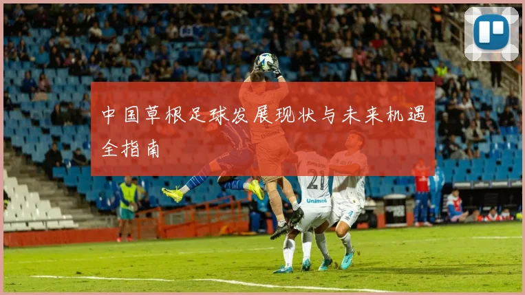 中国草根足球发展现状与未来机遇全指南